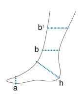 Sprunggelenkorthese Levamed stabili-tri