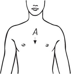 Rippengürtel Herren - Herren, Größe M