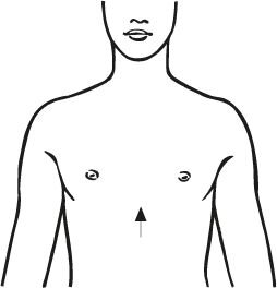 Rippengürtel, elastisch für Damen - Damen, Größe M