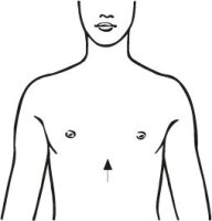 Rippengürtel, elastisch für Damen - Damen, Größe M