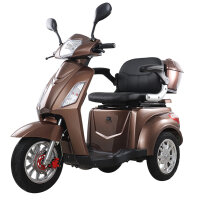 Lolland Elektromobil aktiv Deutschland 20 km/h