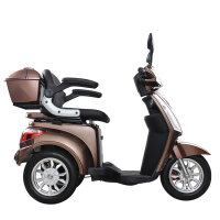 Lolland Elektromobil aktiv Deutschland 20 km/h