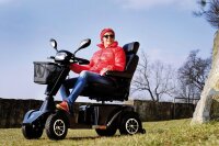 Scooter S700 4-Rad Elektromobil grau-metallic