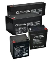 Quality-Batteries, LS-Serie