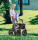 Rollator TAiMA XC - luftbereift